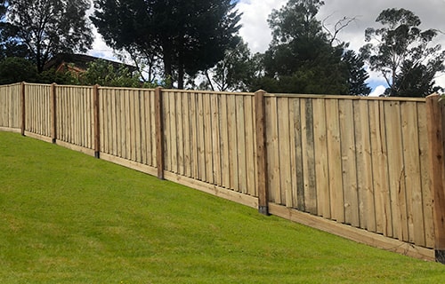 treated pine fence on hill